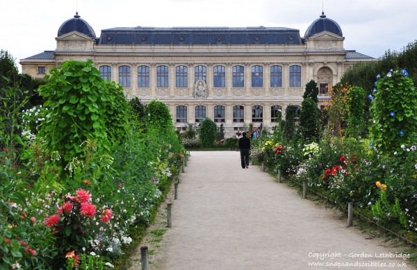 Jardin des Plantes and the Musée National d’Histoire Naturelle